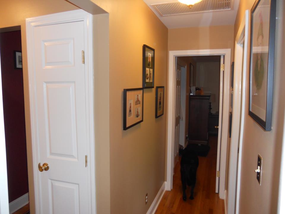 a freshly painted hallway in a home